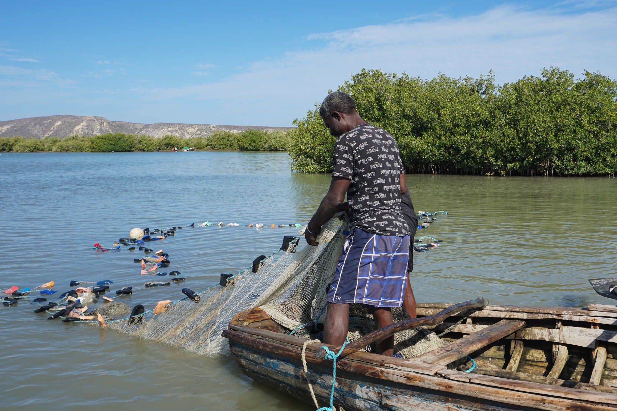 Mangroves Can Protect Haiti From Climate Chaos. They’re Disappearing.