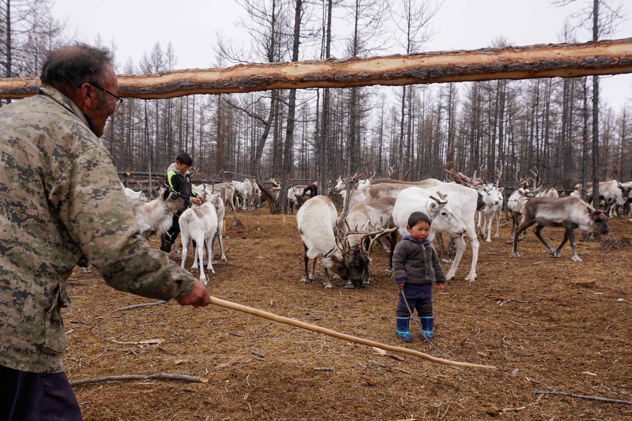 How One Woman Is Fighting to Preserve Mongolia’s Last Reindeer Herding Culture