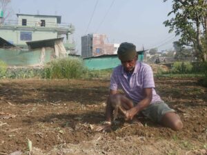 Land Is the New Cash Crop in an Urbanizing Section of Nepal