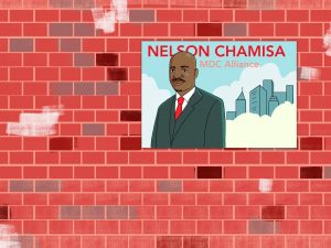 Nelson Chamisa: The Challenger