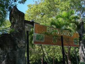Once-Proud Puerto Rican Zoo Faces Cruelty Allegations, Uncertain Future