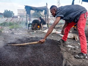 In DRC, Coffee Beans May Be the Seed of an Economic Transformation