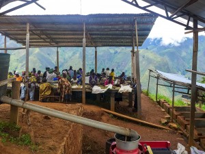 Coffee, a Storied Source of Wealth in Rural DRC, Grows Again