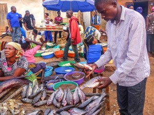 Armed Groups at DRC’s Lake Edward Devastate Fish Stocks, Jobs and Farms