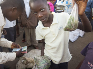 Grasshoppers, Uganda’s Seasonal Snack, Bring Business Boom for Traders