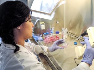 Cuts to Science Budget in Argentina Endanger Work on Promising Toxoplasmosis Vaccine