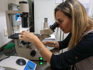 Cuts to Science Funding in Argentina Frustrate Researchers