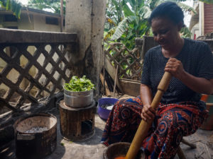 New Stove Saves Forests by Saving Fuel