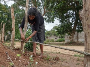 Tamil Returnees Fight to Reclaim Seized Land