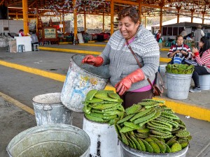 Many Cactuses and No Grocery Stores: A Mexico City Area Eats Fresh and Local