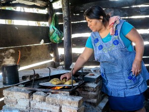 Corn, Foundation of Iconic Mexican Foods, Finds Protectors in Its Native Land