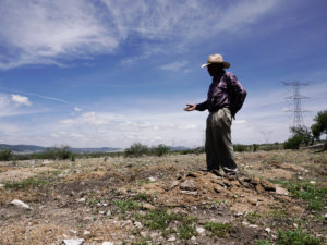 To Reforest Rural Mexico, Government Enlists Farmers