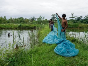 Crocodiles, Fishing Communities Battle for Survival in Nepal