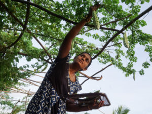 As Famine Looms, Sri Lankans Turn to Home Gardens