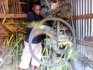 To Combat Climate Change, Ugandan Farmers Adopt Smart Farming Techniques