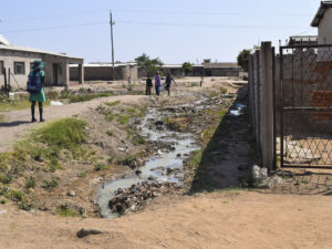 Despite Grave Health Risks, Zimbabwe City Lacks Funds to Fix Many Burst Sewage Pipes