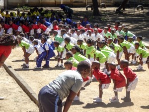 New School Curriculum with Practical Focus Earns Mixed Reviews in Zimbabwe