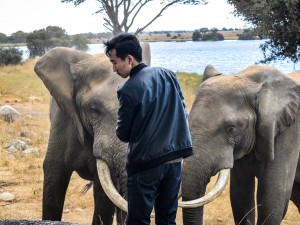 A Close Interaction With Wildlife at Imire Conservation in Zimbabwe