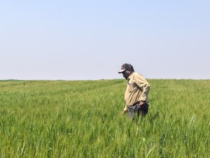 Years After Land Reform, Zimbabwe Farmers Struggle to Prove Ownership, Secure Loans