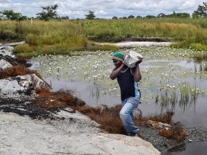 Chinese-Owned Mining Companies Bring Work and Hazards to Zimbabwe