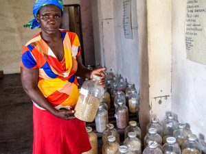 Zimbabwe’s Seed Banks Act as Farmers’ Defense Against Radical Changes in Climate