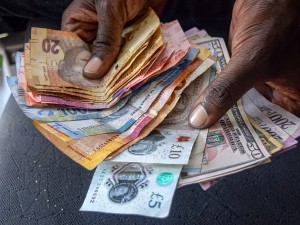 Zimbabwe: When the Value of Money Changes Daily, What Does it Cost to Live?
