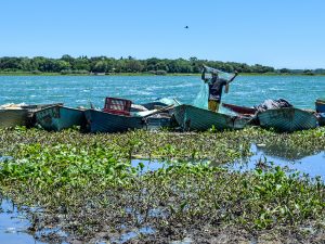Fishermen Caught Between Livelihood and Laws to Protect Lake Chivero