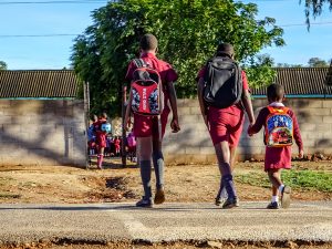 Once the Nation’s Pride, Zimbabwe’s Schools Endure Chronic Setbacks