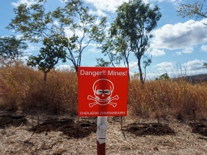 Old Land Mines Threaten Farmers and Livestock in Eastern Zimbabwe